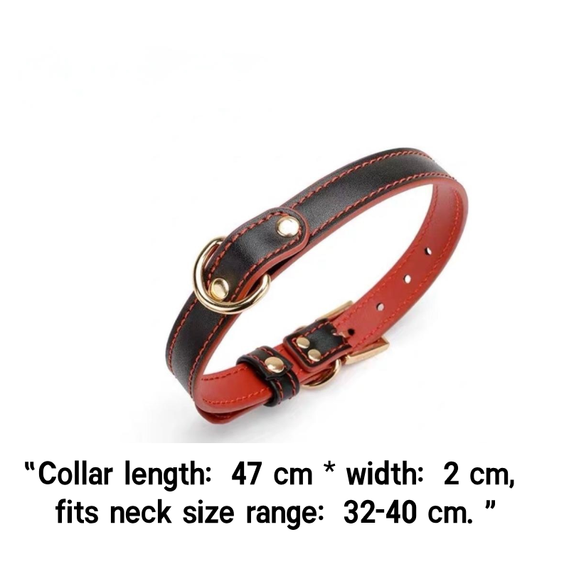 Custom Engraved Leather Collar for Women-Collar + Whip + Handcuffs